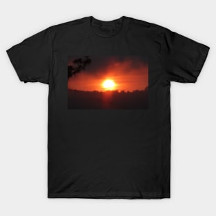 golden columbia river sunrise 3 T-Shirt